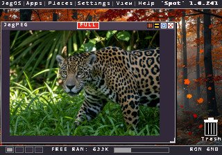 JagPEG window showing a photo of a jaguar in the grass